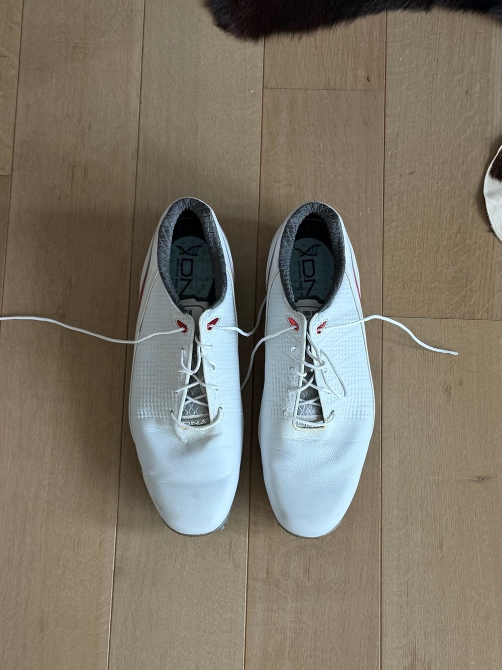 FJ Spike Golf Shoes, Men size 10.5